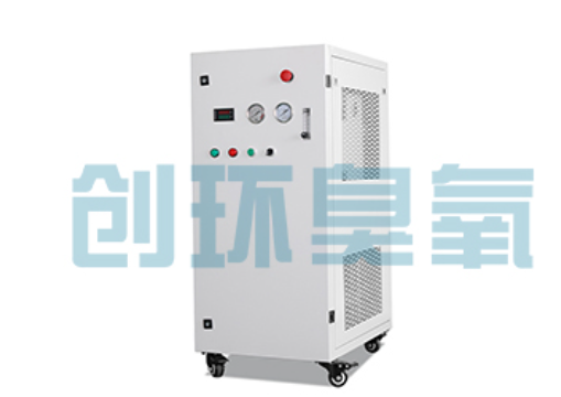 北屯石斑鱼养殖水质调控完整指南：臭氧发生器配置与操作步骤