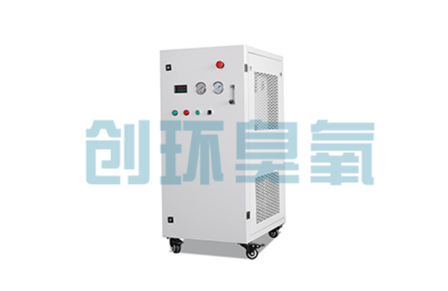 北屯比传统换水更高效？臭氧发生器在石斑鱼养殖中的水质净化原理解析
